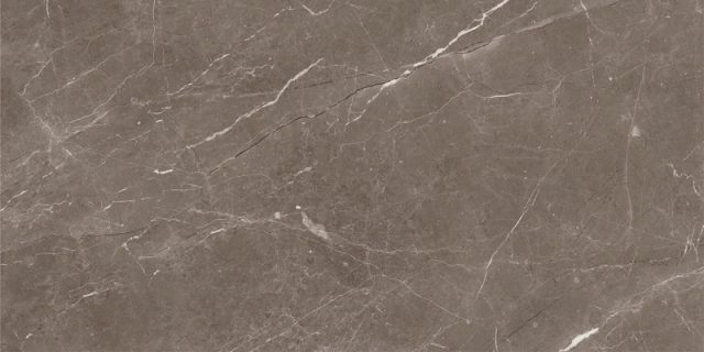 LC459029