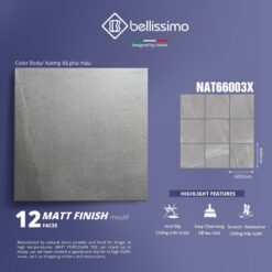 NAT66003X