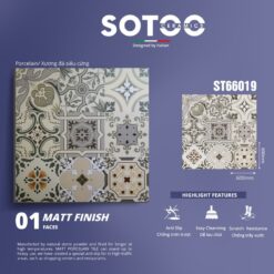 ST66019