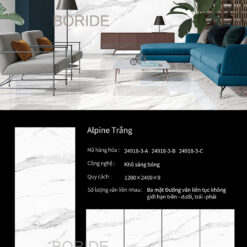 boride 24918