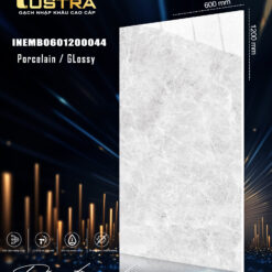 INEMB0601200044