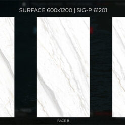 sig-p61201