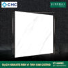 CMC VT66002