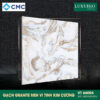 CMC VT66004