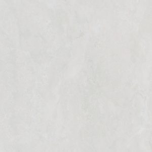 FARSIGHT FS18090111GM