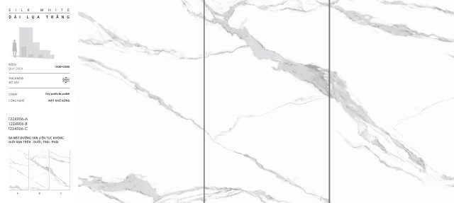 1224R06