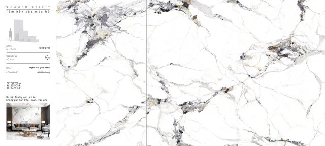 BL1227901