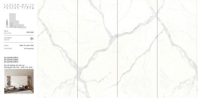 BL1224YBYL938