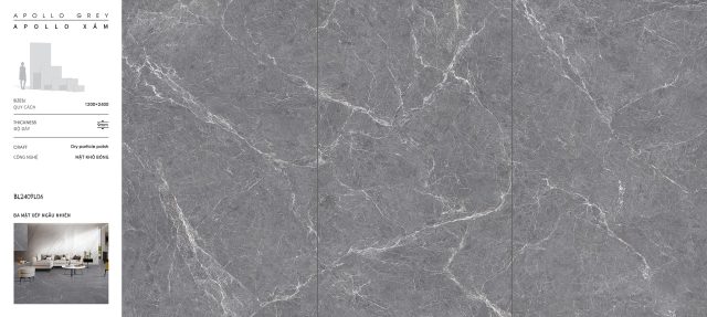 BL2409L06