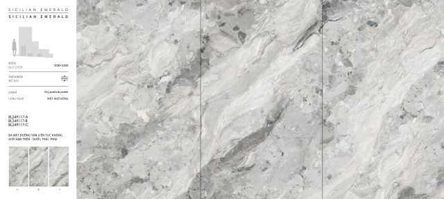 L249117