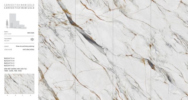 BL826974