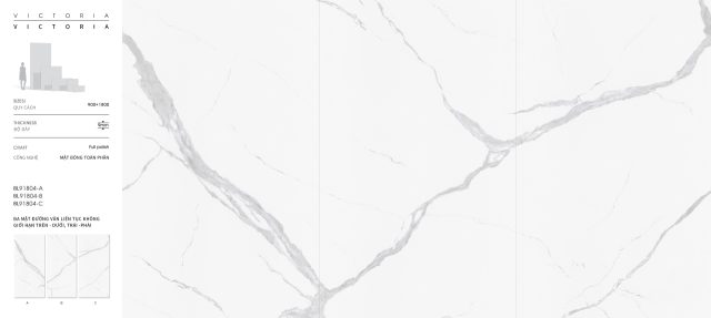 BL91804
