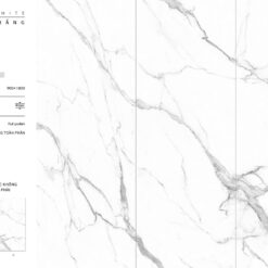BL91805