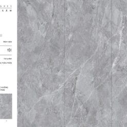 BL91816