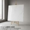 LGB60-0001