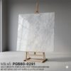 PGB80-0291