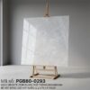 PGB80-0293