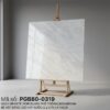 PGB80-0319