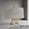 GSM36-8305