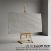 LGM36-0281